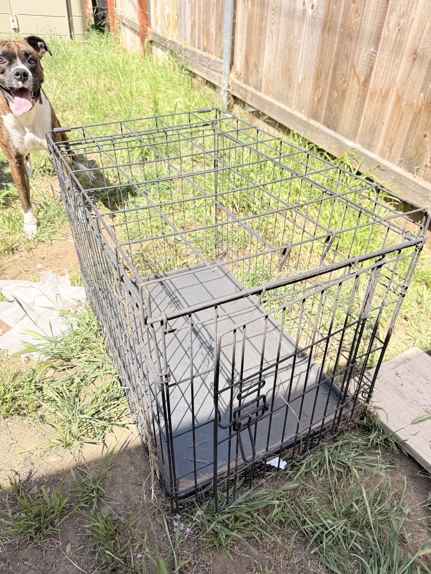 Dog Crate 