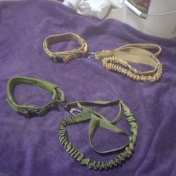 Dog Collar And Leash Size Medium