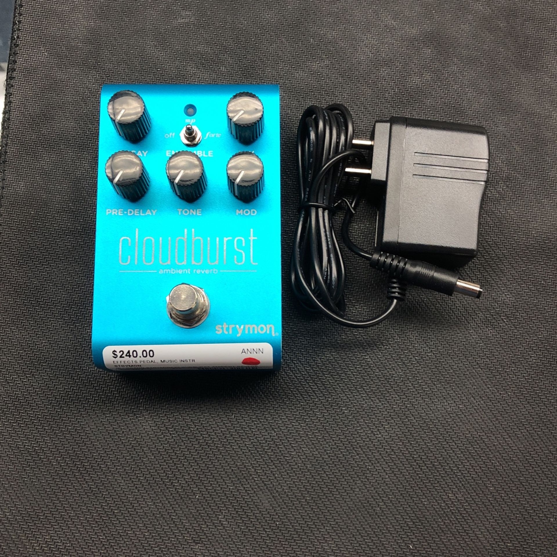 Strymon Cloudburst Ambient Reverb With Power Supply