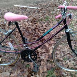 Mint Condition Ladies 80s Huffy 314 Prohect 10 Soeed