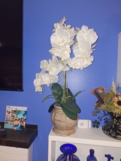 26 inch Silk orchids  Aragement  in  ceramic pot
