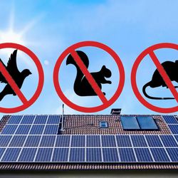 Special Offer On Solar Panel Critter Guards!