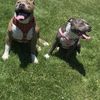 Johnathan 