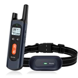 Dog Training Collar 