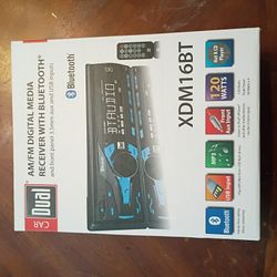 Dual Single Din Car Stereo