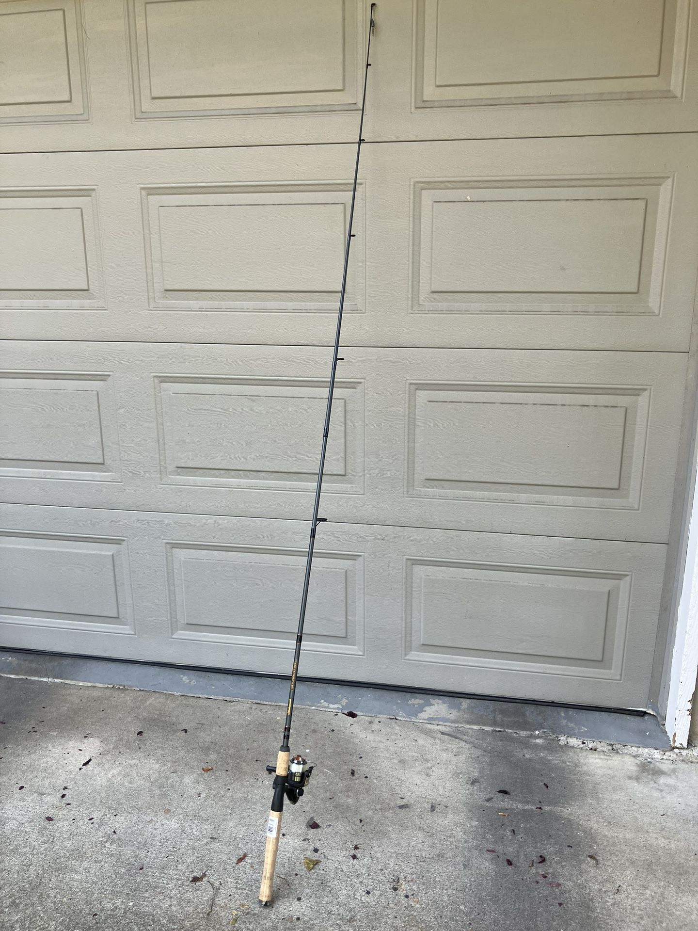 Fishing Rod and Reel