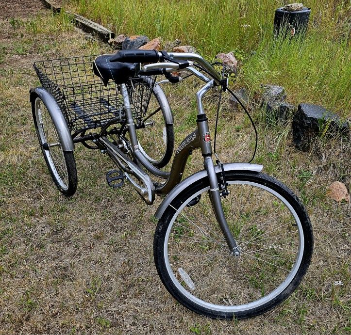 Schwinn 3 Wheel Bike