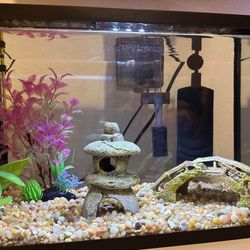 Fish Tank, Accessories and More! 