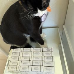 Raw Garden Dispo ( Screw Ons )