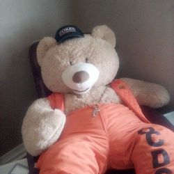 Teddy 
