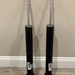 2024 Ford F150 FX4 Struts *NEW*
