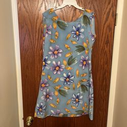 Women’s Dress Size 12