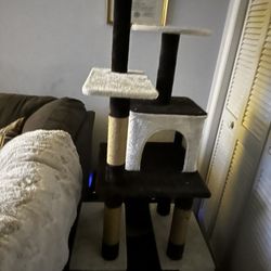 Cat Tower