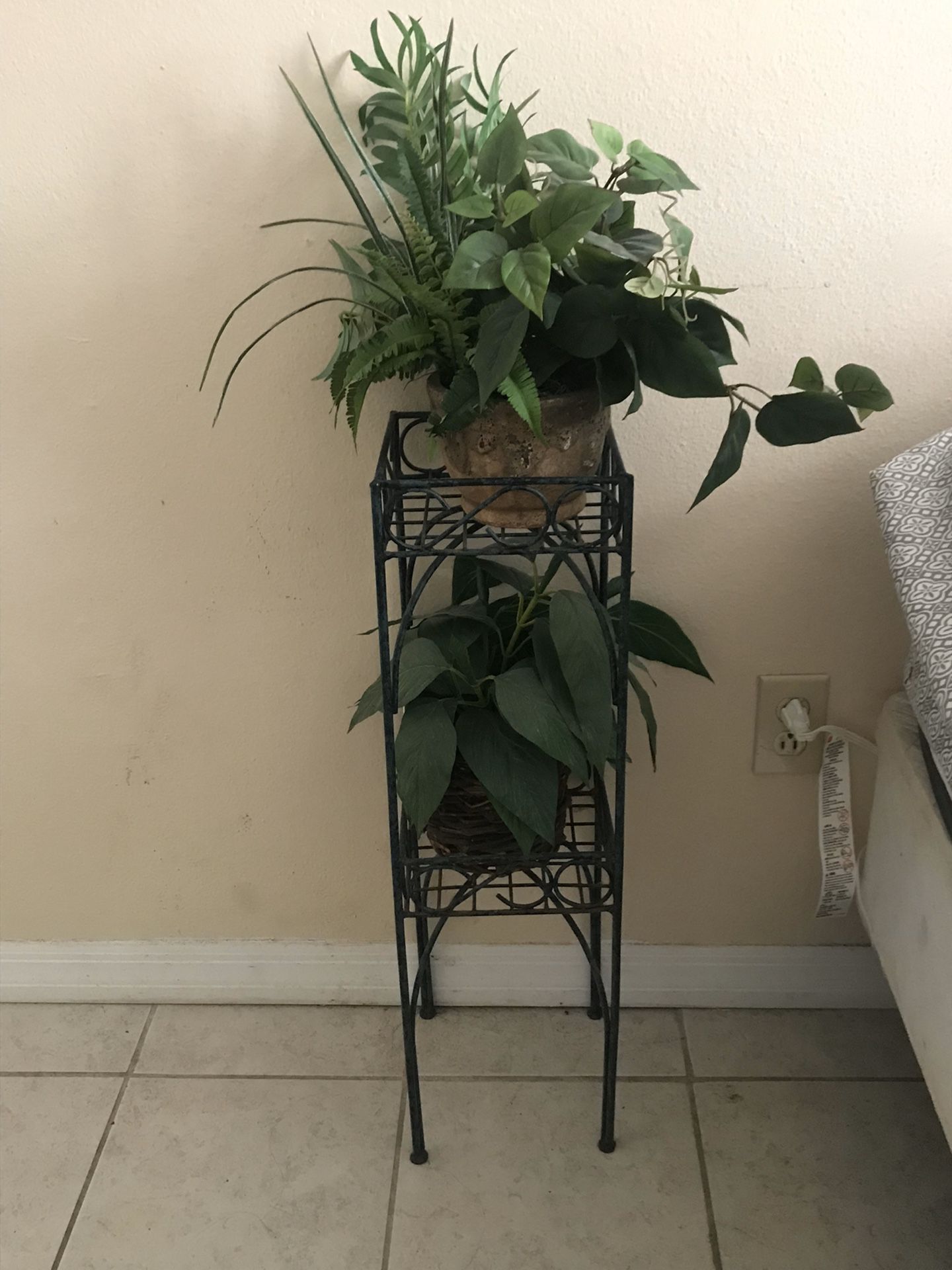 Plant, rack and lamp