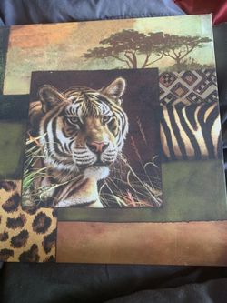 Picture Tiger