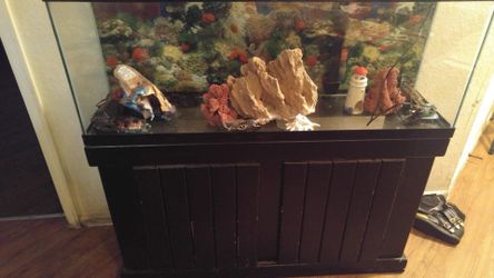 Giant fish tank