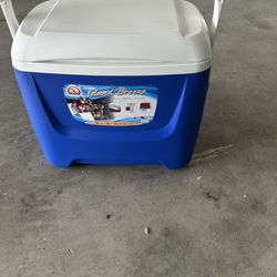Igloo  Cooler 20L 