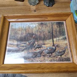Family Photo, Portrait Of Turkeys Walking In The Woods On A Fall Day
