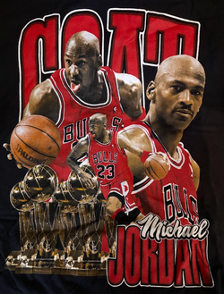 Michael Jordan Chicago Bulls "GOAT" Vintage Style Graphic T-Shirt | Size XL | Championship Tribute