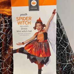 New Spider Witch Girls Costume Size Small 4-5 Dress with Hat