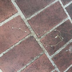 Women’s 14k Gold Pearl Necklace