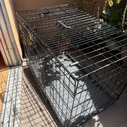 Cat For Pets (cat/dog/bird) 