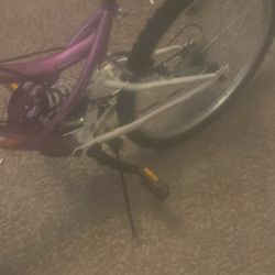 Purple Mountain Bike 