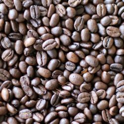 Freshly Roasted Coffee