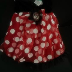 Disney Minnie Mouse Polka Dot Skirt