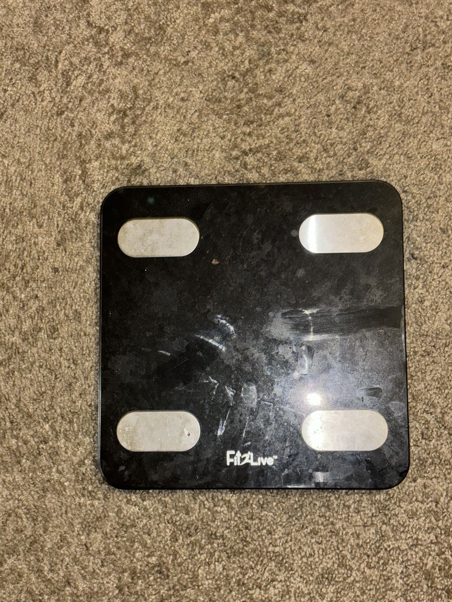 Scale