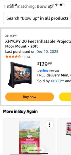 Inflatable projector TV