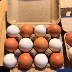 12 LARGE free range
