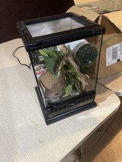 Terrarium
