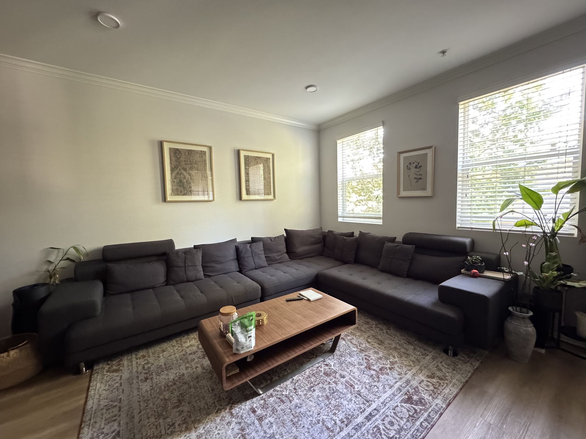 Sectional Couch