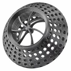 Aquarium Anemone Guard