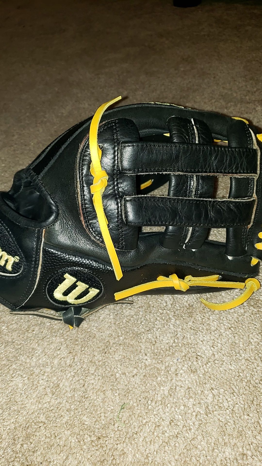 Wilson A2000 12 Inch DW5 Baseball glove