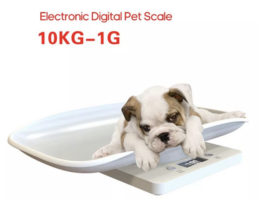 10KG Small Electronic Digital Dog Cat Pet Scale Kitchen Food Scale LCD