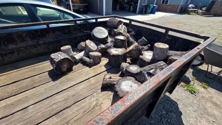 Free Firewood