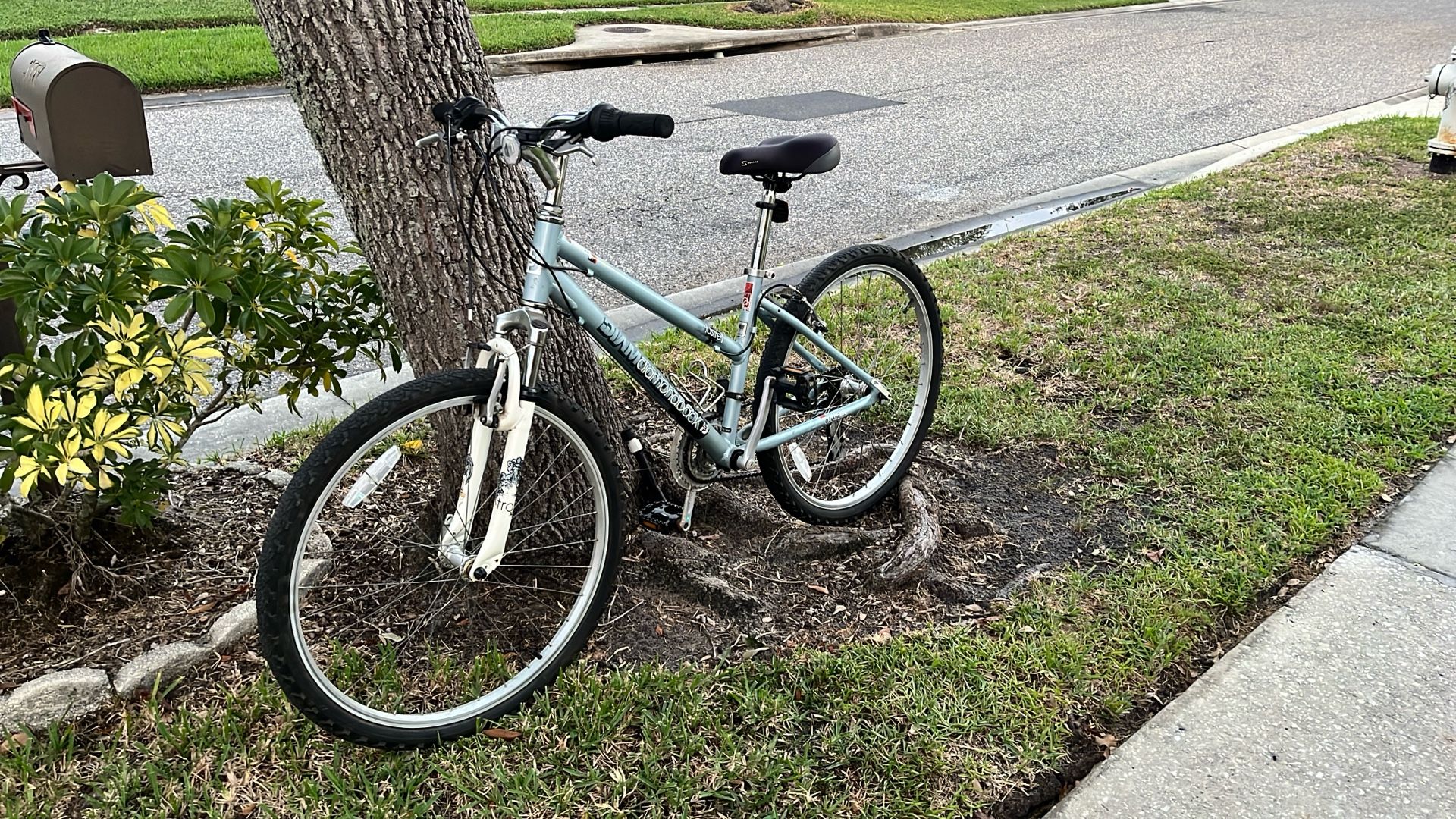 Diamond Back Lustre 1 Bike