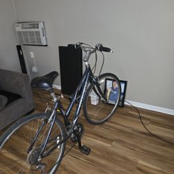 Trek Mountain Bike Women Bike