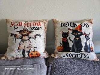 Halloween pillowcase covers only