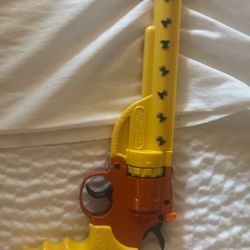 Bug A Salt Gun 