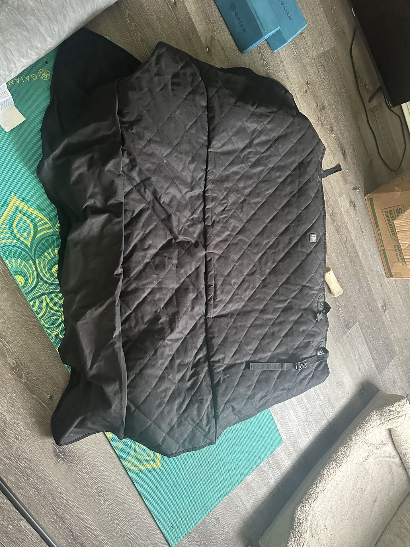 Animal Car Cover Rear