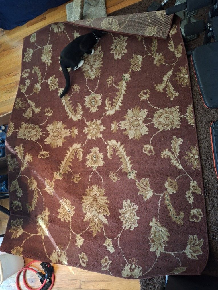 Carpet 