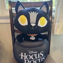 Hocus Pocus Plush