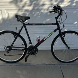 Vintage 90s Schwinn Sidewinder Mountain Bike
