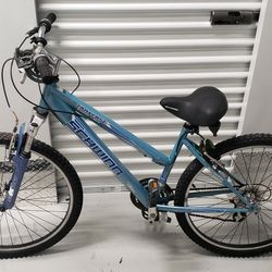 Schwinn Traverse Girls Mountian Bike 