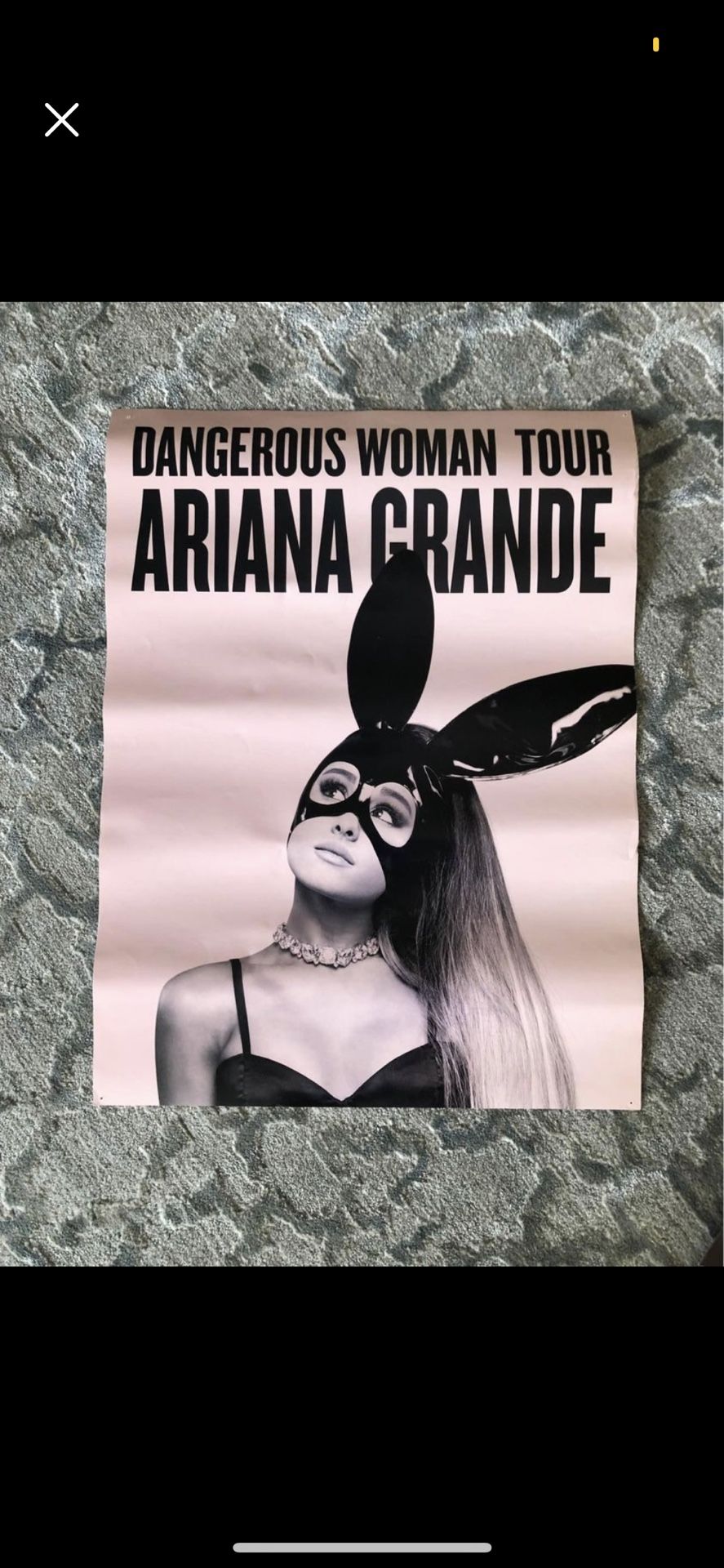 Ariana Grande Poster