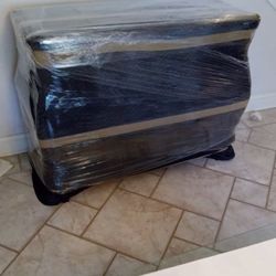 SHELLO MOVING