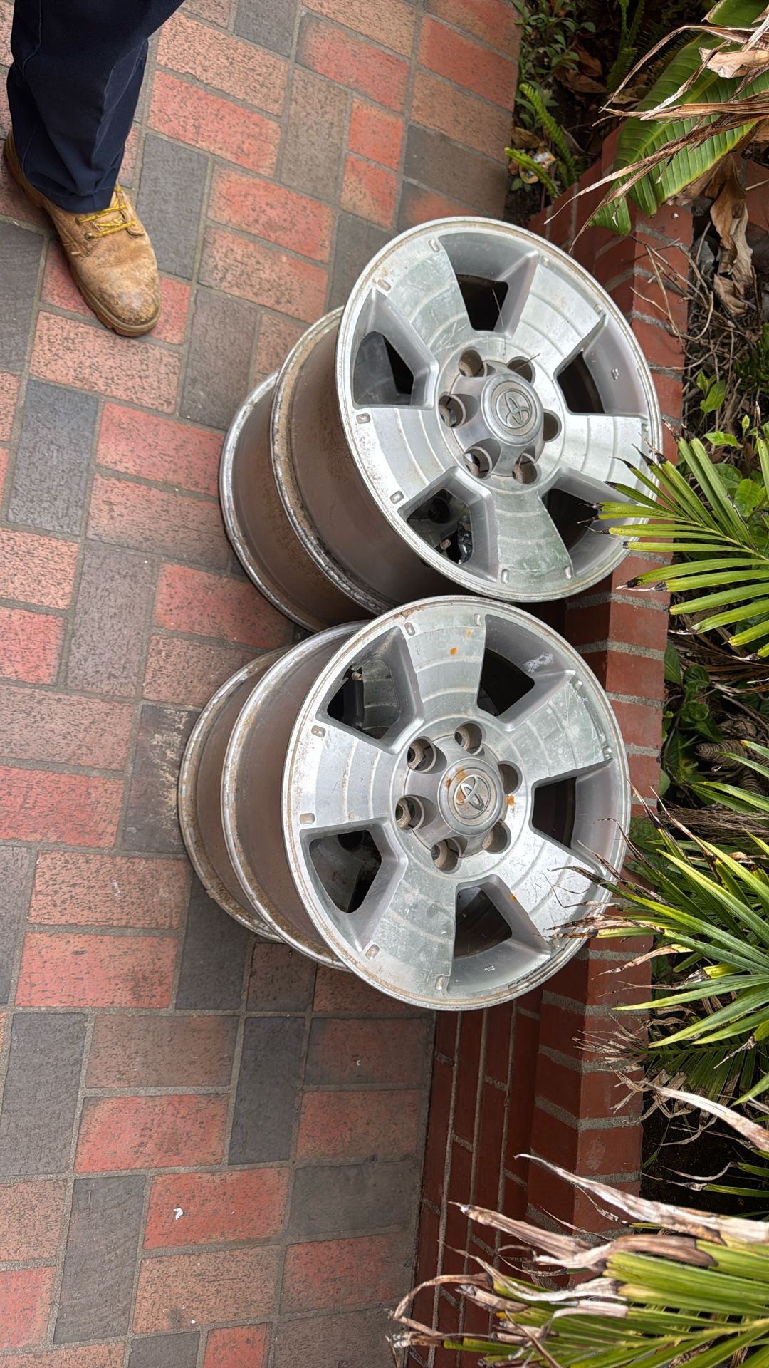 Toyota Rims